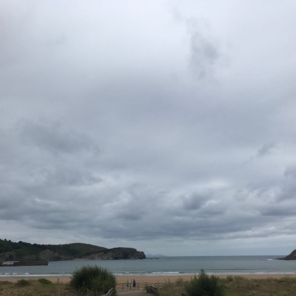 leren op dynamiek in de compositie